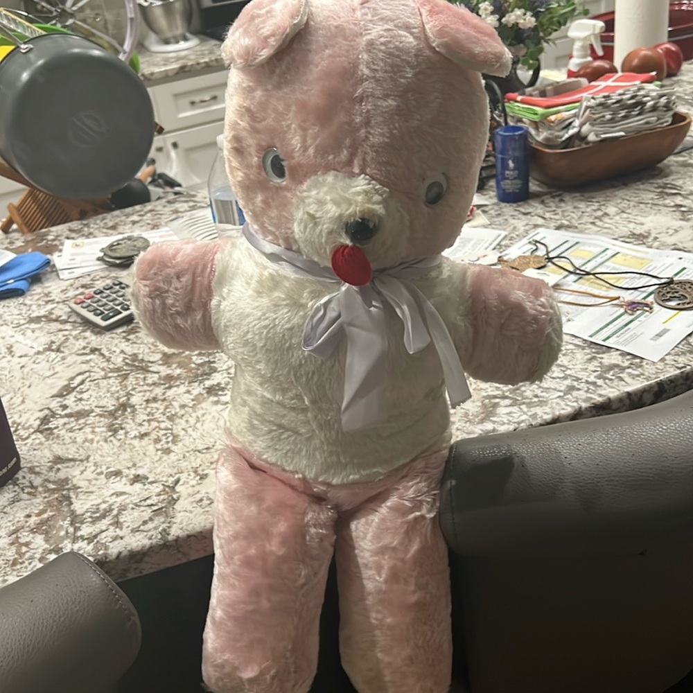 Sherri the sweetest teddy bear 🧸 Miss. Sherri’s been around since like forever